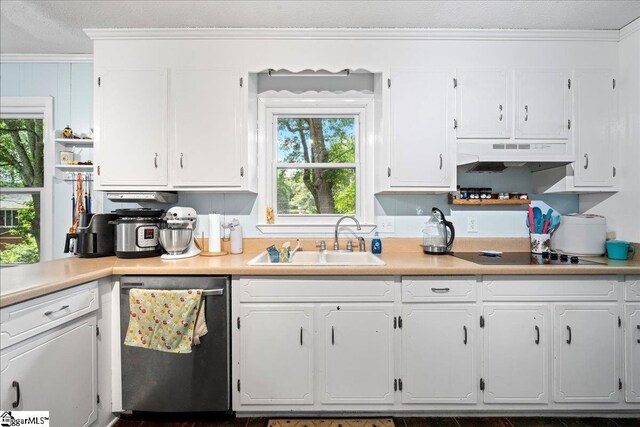 116 Kennedy St, Easley, SC 29642 - kitchen with stainless steel dishwasher, a sink, under cabinet range hood, white cabinets, and crown molding