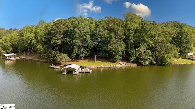 345 P Cromer Rd, Abbeville, SC 29620 - water view with a boat dock and a forest