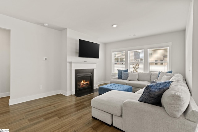 117 Hazelcroft Dr, Fountain Inn, SC 29644 - living area with a fireplace with flush hearth, wood finished floors, and baseboards