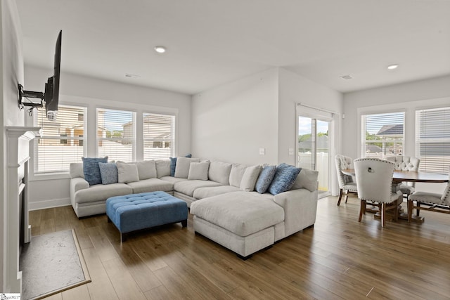 117 Hazelcroft Dr, Fountain Inn, SC 29644 - living room featuring wood finished floors, recessed lighting, and baseboards