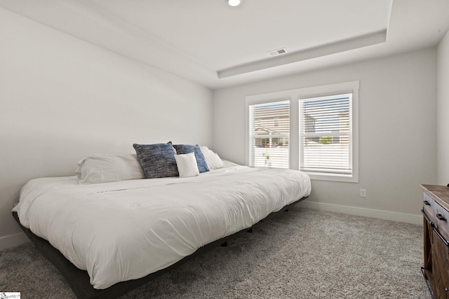 117 Hazelcroft Dr, Fountain Inn, SC 29644 - carpeted bedroom with baseboards and a raised ceiling
