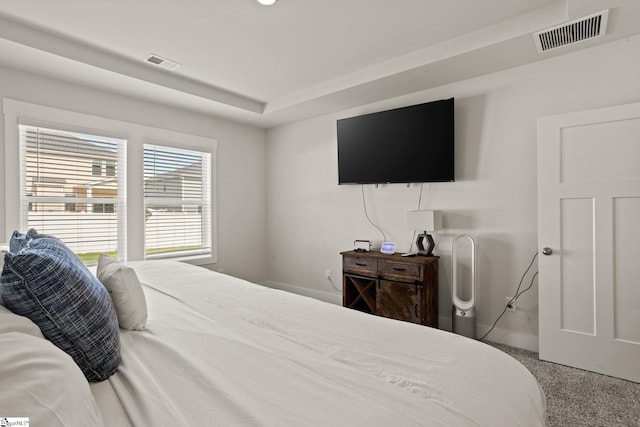 117 Hazelcroft Dr, Fountain Inn, SC 29644 - bedroom with carpet flooring and baseboards