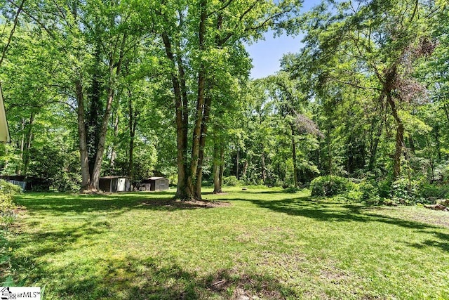 3 Creighton Ct, Taylors, SC 29687 - view of green lawn