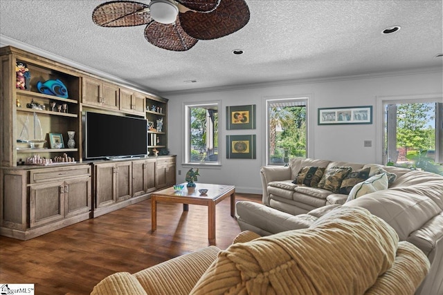 135 Neal Pointe Dr, Chesnee, SC 29323 - living area featuring ornamental molding, ceiling fan, healthy amount of natural light, dark wood-type flooring, and a textured ceiling