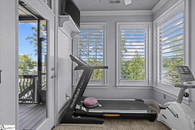 135 Neal Pointe Dr, Chesnee, SC 29323 - exercise area with healthy amount of natural light, ornamental molding, and baseboards