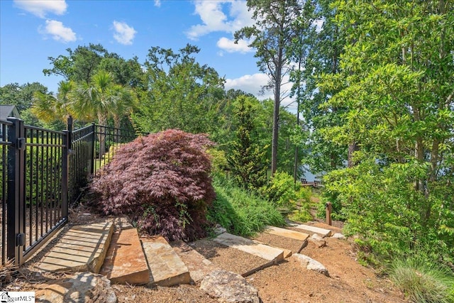 135 Neal Pointe Dr, Chesnee, SC 29323 - view of yard featuring a gate