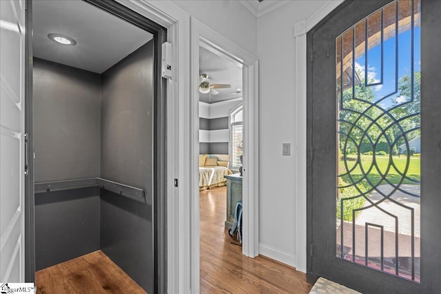 135 Neal Pointe Dr, Chesnee, SC 29323 - entryway with wood finished floors, crown molding, a ceiling fan, and baseboards