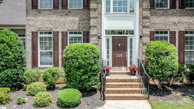 225 Highgrove Ct, Simpsonville, SC 29681 - view of exterior entry