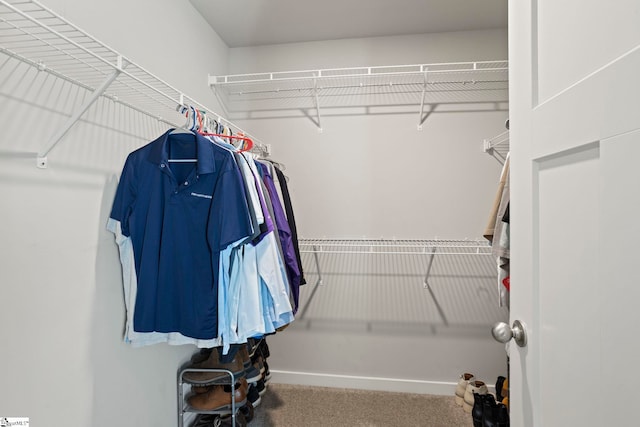 7 Grey Oak Trl, Greer, SC 29650 - walk in closet with carpet