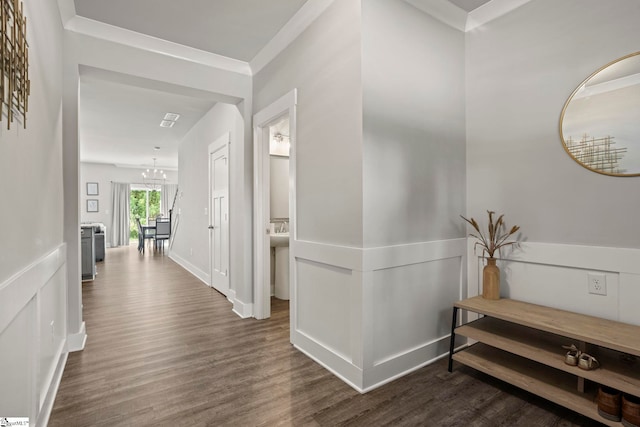 7 Grey Oak Trl, Greer, SC 29650 - hallway featuring wood finished floors, a chandelier, crown molding, and a wainscoted wall