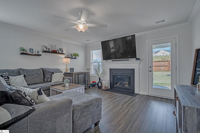 105 Ella B Ln, Easley, SC 29640 - living room featuring dark wood-style floors, a ceiling fan, a fireplace with flush hearth, and ornamental molding