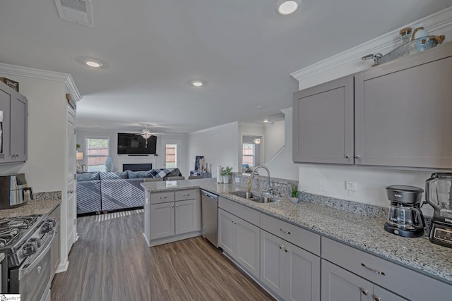 105 Ella B Ln, Easley, SC 29640 - kitchen with a sink, stainless steel appliances, ornamental molding, a fireplace, and a ceiling fan