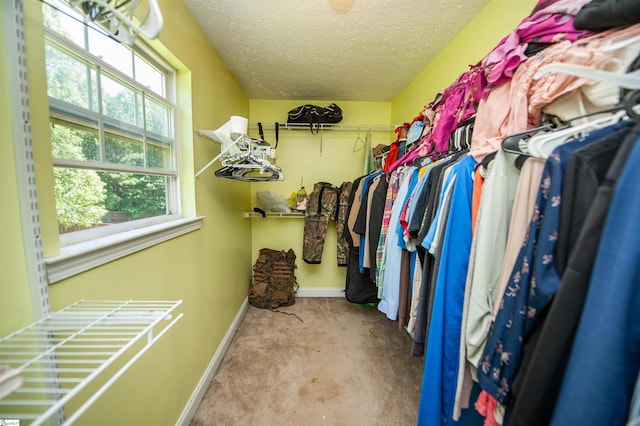 770 Grace Valley Rd, Inman, SC 29349 - spacious closet with carpet