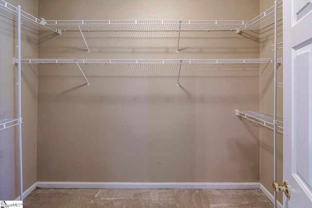 122 N Orchard Farms Ave, Simpsonville, SC 29681 - walk in closet with carpet flooring