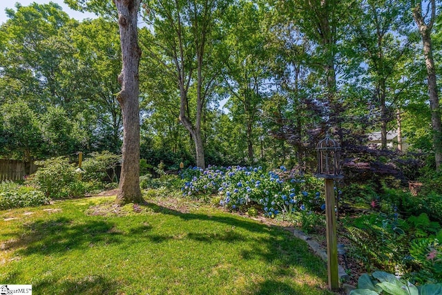 122 N Orchard Farms Ave, Simpsonville, SC 29681 - view of yard
