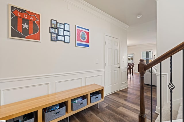 412 Kindletree Way, Simpsonville, SC 29680 - hall featuring ornamental molding, dark wood-style flooring, stairway, wainscoting, and a decorative wall