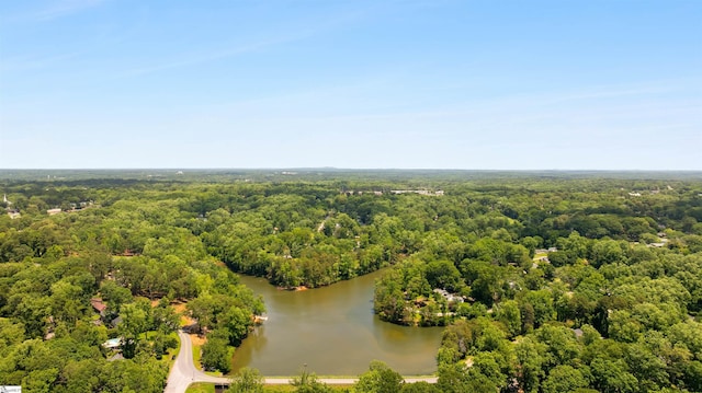 100 Maxwell Rd, Spartanburg, SC 29302 - bird's eye view of a heavily wooded area and a large body of water