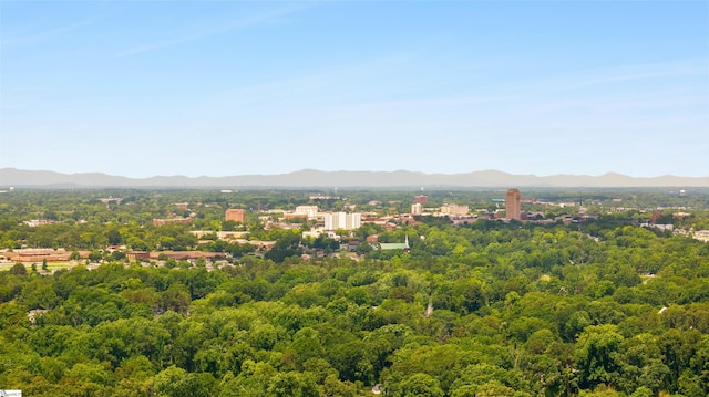 100 Maxwell Rd, Spartanburg, SC 29302 - view of mountain backdrop