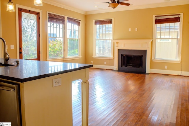 231 Austin Brook St, Simpsonville, SC 29680 - kitchen featuring dark countertops, crown molding, wood finished floors, ceiling fan, and baseboards
