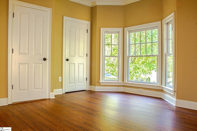 231 Austin Brook St, Simpsonville, SC 29680 - spare room with plenty of natural light, dark wood-style flooring, and crown molding