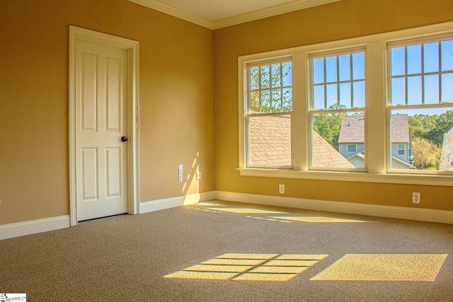 231 Austin Brook St, Simpsonville, SC 29680 - carpeted empty room featuring ornamental molding and baseboards