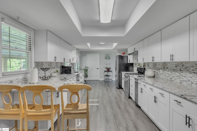 203 Rock Springs Rd, Belton, SC 29627 - kitchen featuring stainless steel appliances, a tray ceiling, backsplash, and white cabinetry