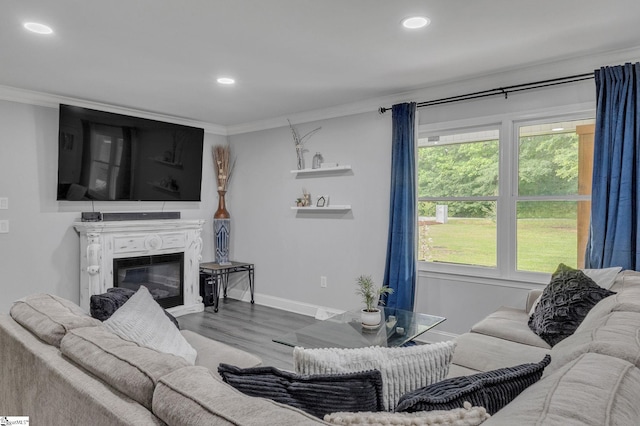 203 Rock Springs Rd, Belton, SC 29627 - living room featuring baseboards, ornamental molding, wood finished floors, recessed lighting, and a glass covered fireplace