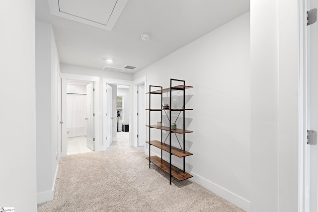 101 Hazelcroft Dr, Fountain Inn, SC 29644 - hall with carpet and baseboards
