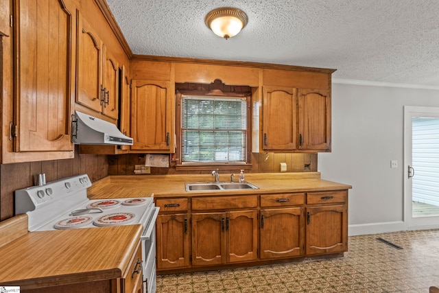 303 Suber Rd, Greer, SC 29651 - kitchen featuring under cabinet range hood, a sink, white range with electric cooktop, plenty of natural light, and crown molding