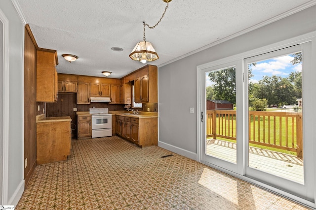 303 Suber Rd, Greer, SC 29651 - kitchen featuring white electric range oven, brown cabinetry, a sink, under cabinet range hood, and crown molding