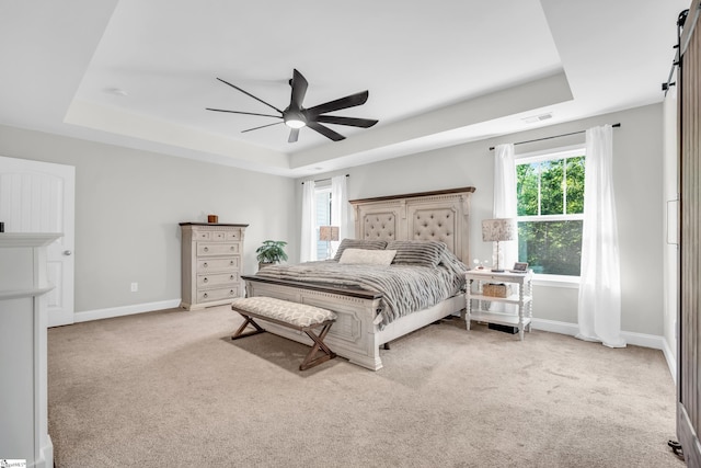118 Perry Hill Rd, Easley, SC 29640 - bedroom featuring a tray ceiling, light colored carpet, multiple windows, and baseboards