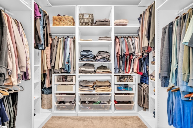 118 Perry Hill Rd, Easley, SC 29640 - walk in closet featuring carpet