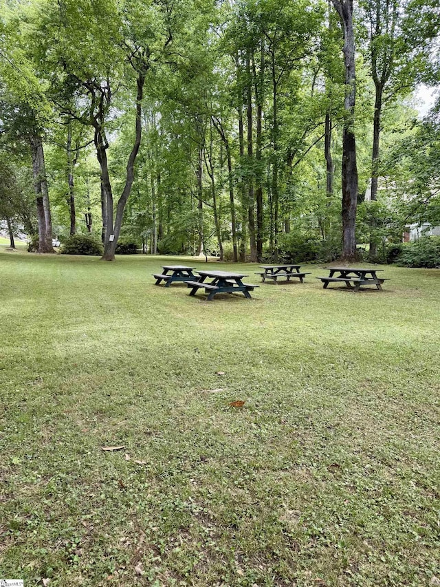 118 Perry Hill Rd, Easley, SC 29640 - view of home's community with a yard