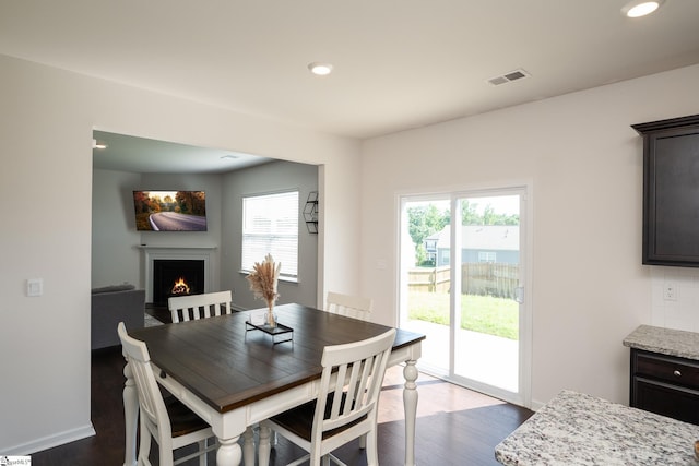 912 Brynderwen Pl, Lyman, SC 29365 - dining space with healthy amount of natural light, a lit fireplace, dark wood finished floors, recessed lighting, and baseboards