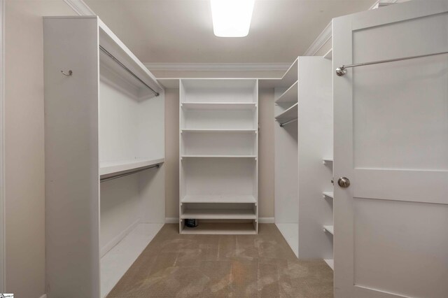 236 S Park Dr, Spartanburg, SC 29302 - walk in closet featuring carpet flooring