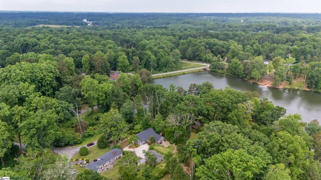 236 S Park Dr, Spartanburg, SC 29302 - view of property location with a large body of water and a heavily wooded area