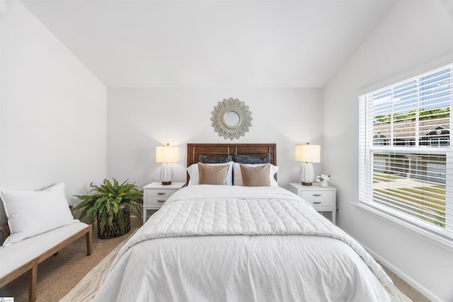 116 Southridge Ct, Easley, SC 29642 - carpeted bedroom with baseboards and lofted ceiling