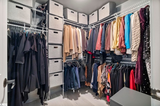 30 Eaglecrest Ct, Simpsonville, SC 29681 - view of walk in closet