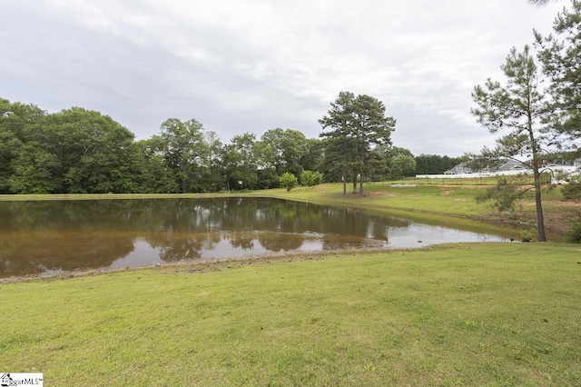 101 Greensdale Ln, Easley, SC 29642 - water view