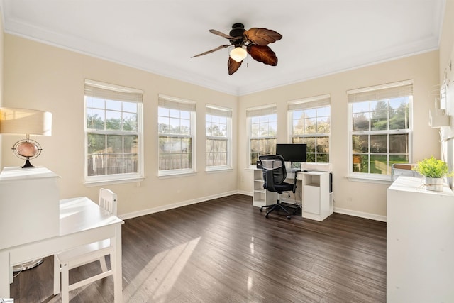 105 Franklin Meadow Way, Greer, SC 29651 - office with ornamental molding, a ceiling fan, baseboards, and dark wood-style flooring
