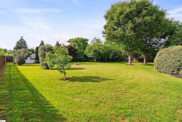 105 Franklin Meadow Way, Greer, SC 29651 - view of yard