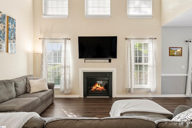 105 Franklin Meadow Way, Greer, SC 29651 - living room with wood finished floors, a glass covered fireplace, a high ceiling, and baseboards