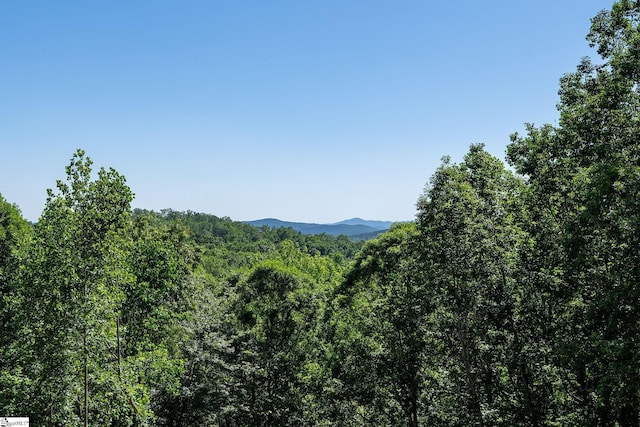 189 Crowne Hill Way, Marietta, SC 29661 - view of mountain background featuring a heavily wooded area