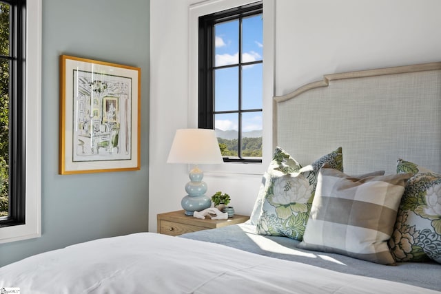 189 Crowne Hill Way, Marietta, SC 29661 - bedroom featuring a mountain view