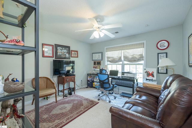 29 River Birch Way, Greer, SC 29650 - office space with carpet floors and a ceiling fan