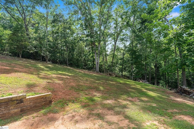 216 Country Gln, Pelzer, SC 29669 - view of green lawn featuring a wooded view