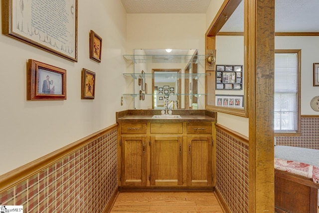 101 N Lady Slipper Ln, Greer, SC 29650 - bar with a wainscoted wall, light wood-style flooring, a sink, and a textured ceiling