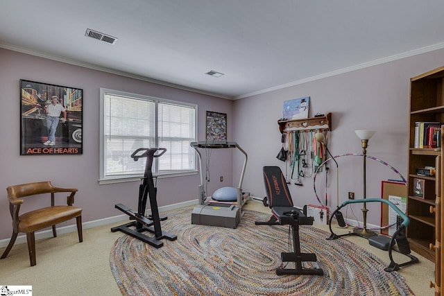 101 N Lady Slipper Ln, Greer, SC 29650 - workout room featuring light colored carpet, crown molding, and baseboards