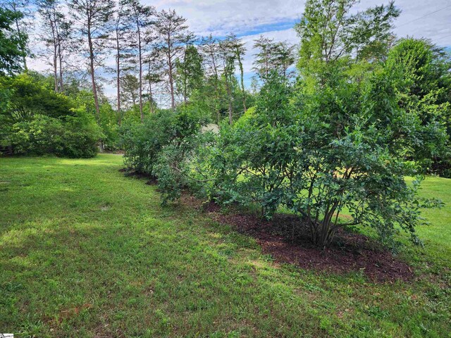 1104 Robert P Jeanes Rd, Easley, SC 29640 - view of grassy yard