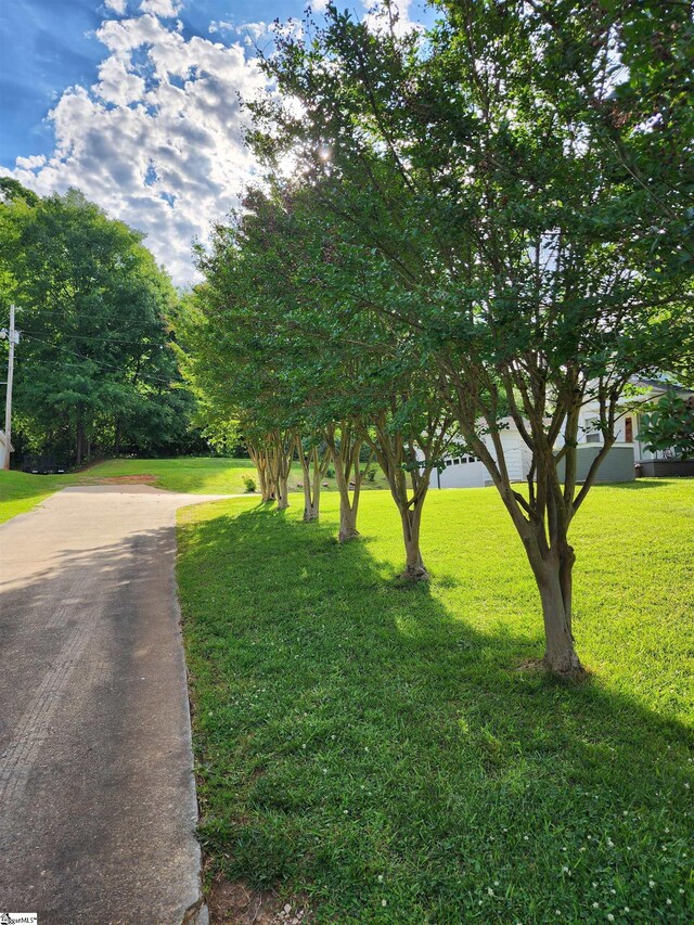 1104 Robert P Jeanes Rd, Easley, SC 29640 - view of road